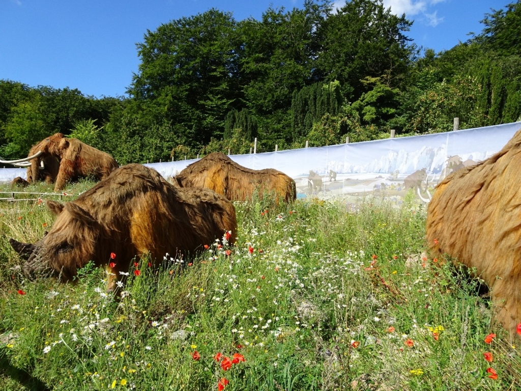 f:id:osanpowanko:20170408155033j:plain