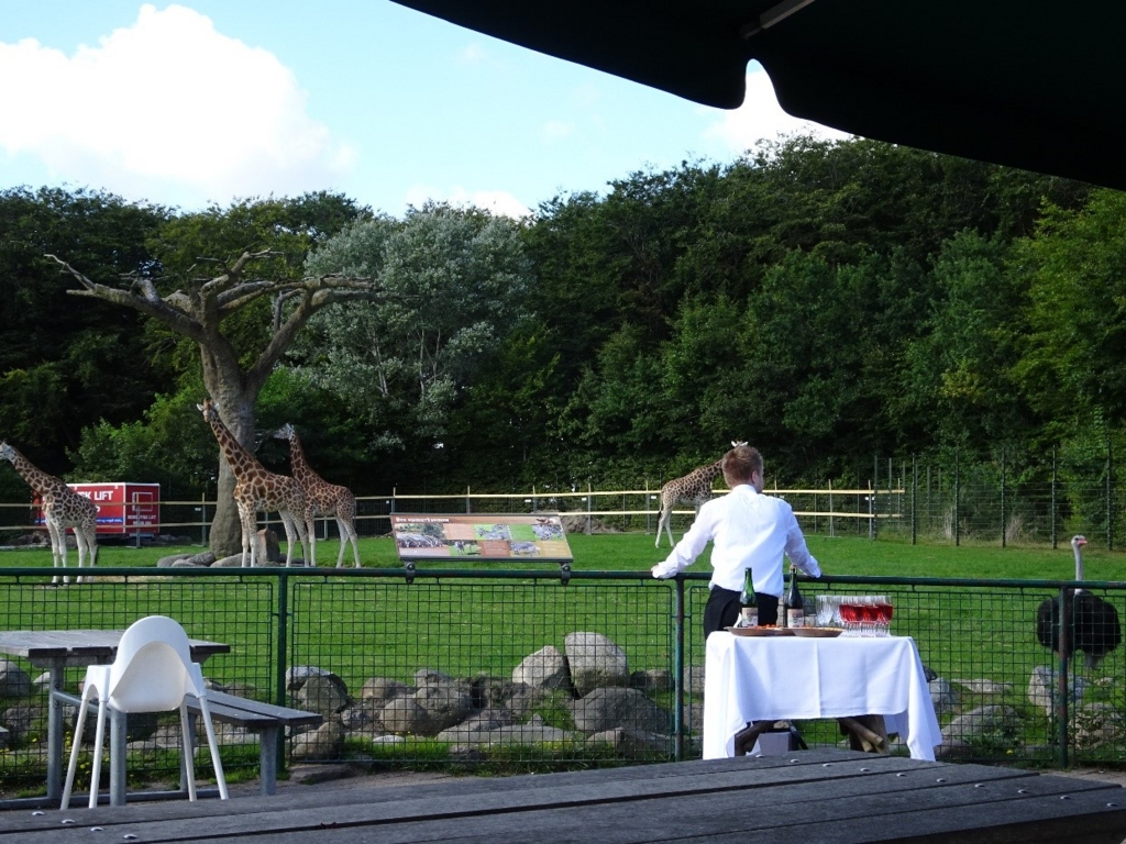 f:id:osanpowanko:20170408155055j:plain