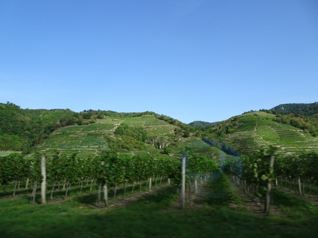 f:id:osanpowanko:20180706201349j:plain