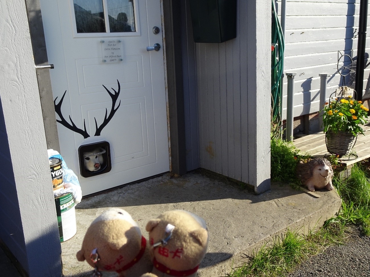 f:id:osanpowanko:20190510164505j:plain