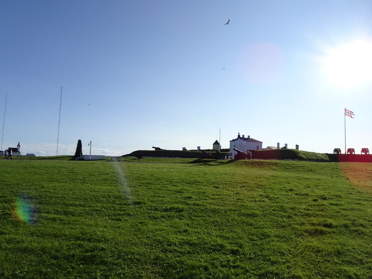 f:id:osanpowanko:20190510164709j:plain