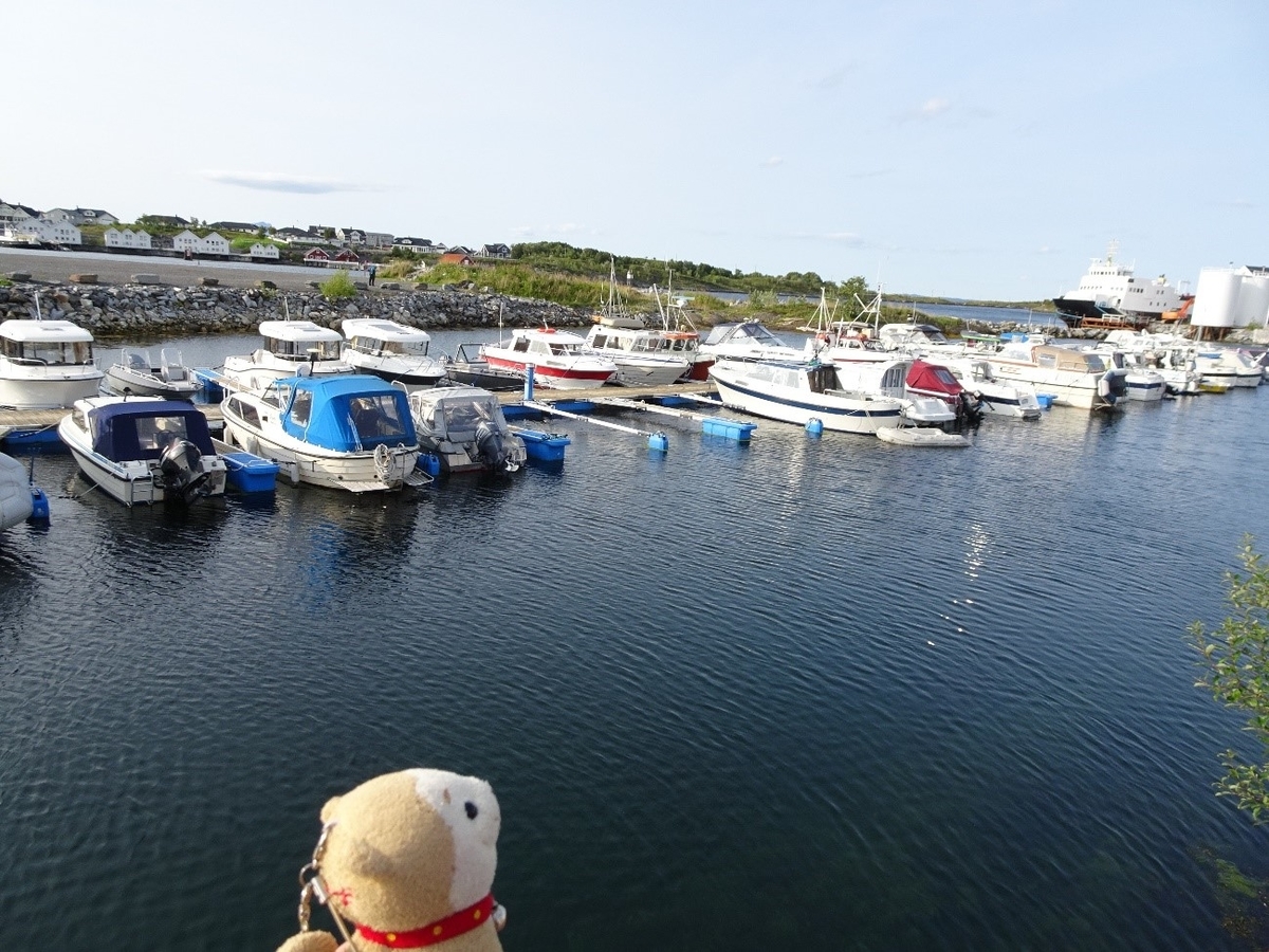 f:id:osanpowanko:20190526183807j:plain f:id:osanpowanko:20190526183807j:plain