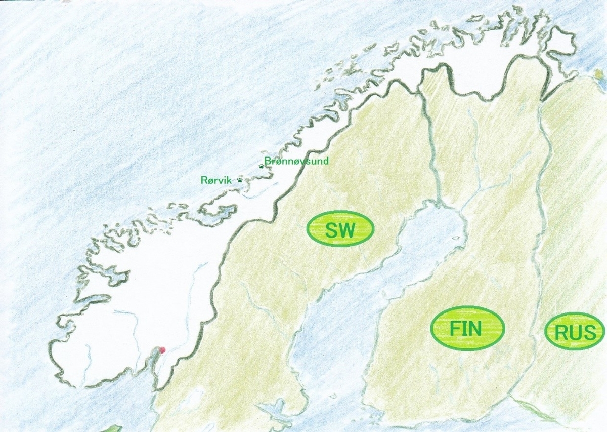 f:id:osanpowanko:20190526185632j:plain