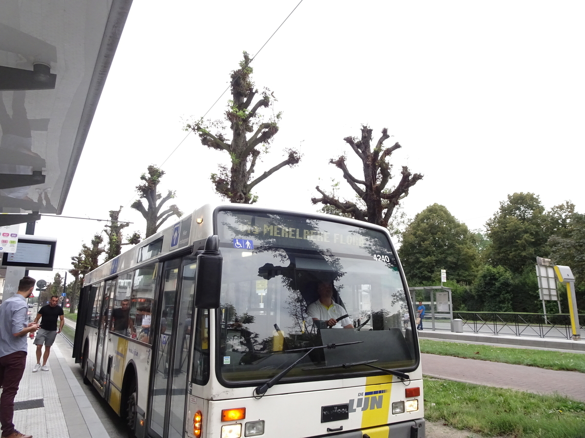 f:id:osanpowanko:20190828183637j:plain