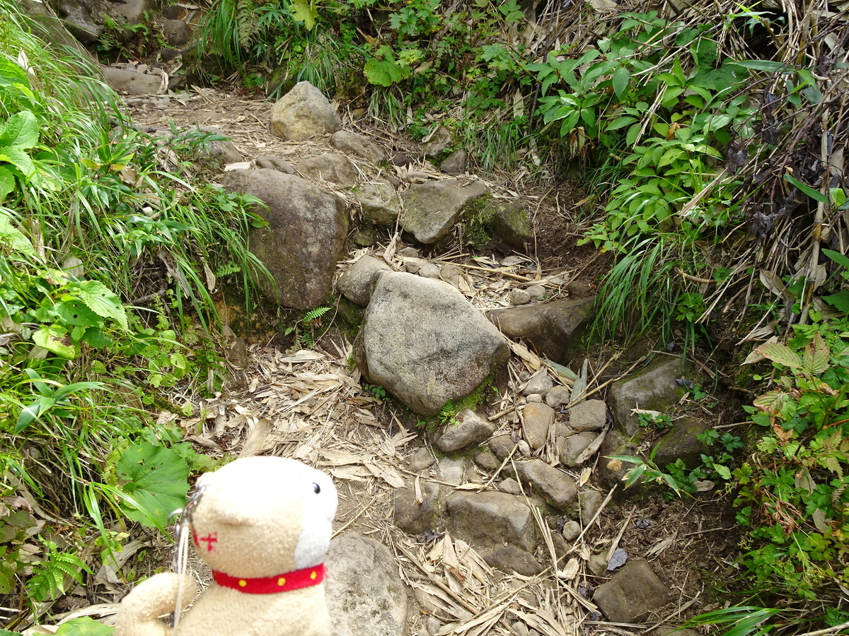 観光地をお散歩～青森県 岩木山登り～ - おさんぽわんこの旅の