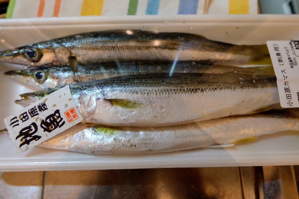f:id:osashimidiary:20190226220631j:plain f:id:osashimidiary:20190226220631j:plain