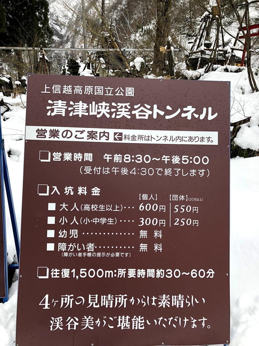 f:id:osatonoko:20200712183458j:plain