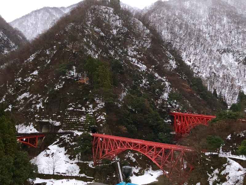 f:id:osatonoko:20210101232950j:plain