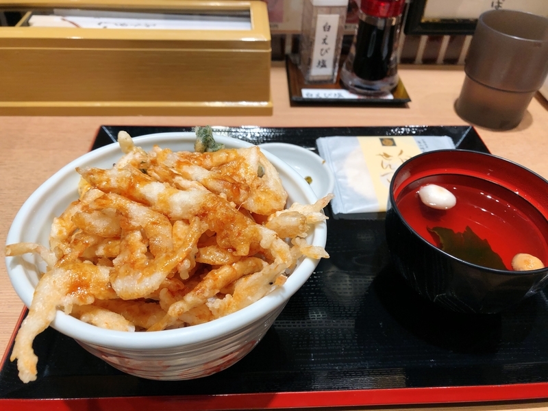 f:id:osatonoko:20210102013615j:plain