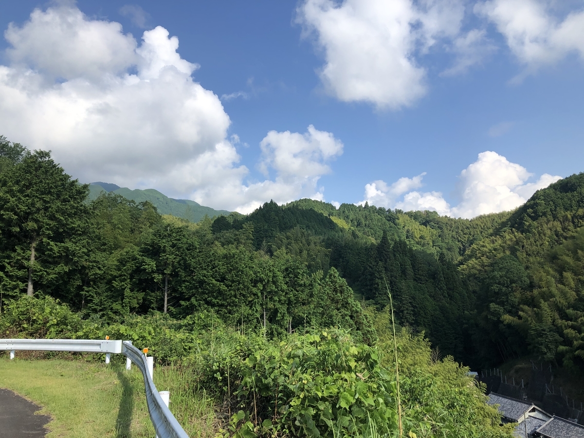 f:id:oscarfreire5414:20200716212832j:plain