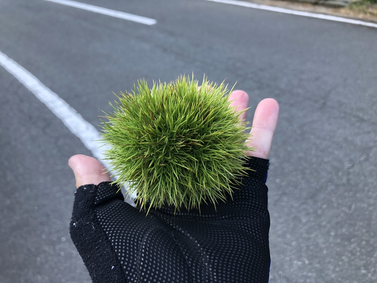 f:id:oscarfreire5414:20200816123851j:plain