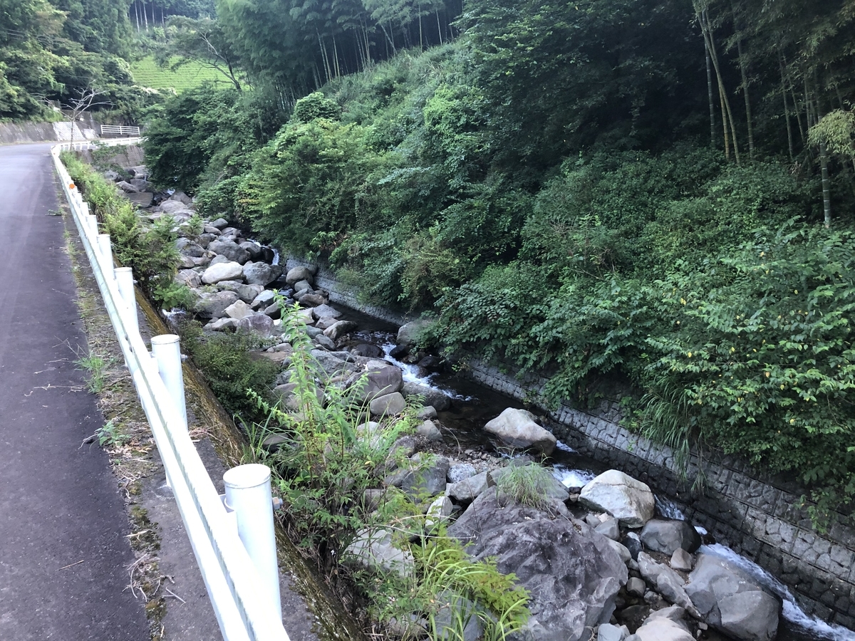 f:id:oscarfreire5414:20200816123915j:plain