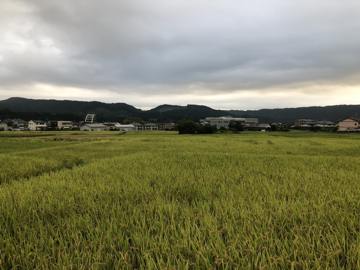 f:id:oscarfreire5414:20200830161046j:plain