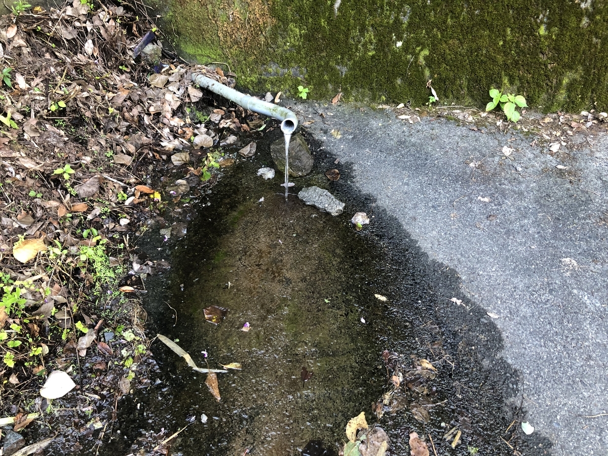 f:id:oscarfreire5414:20200830161123j:plain