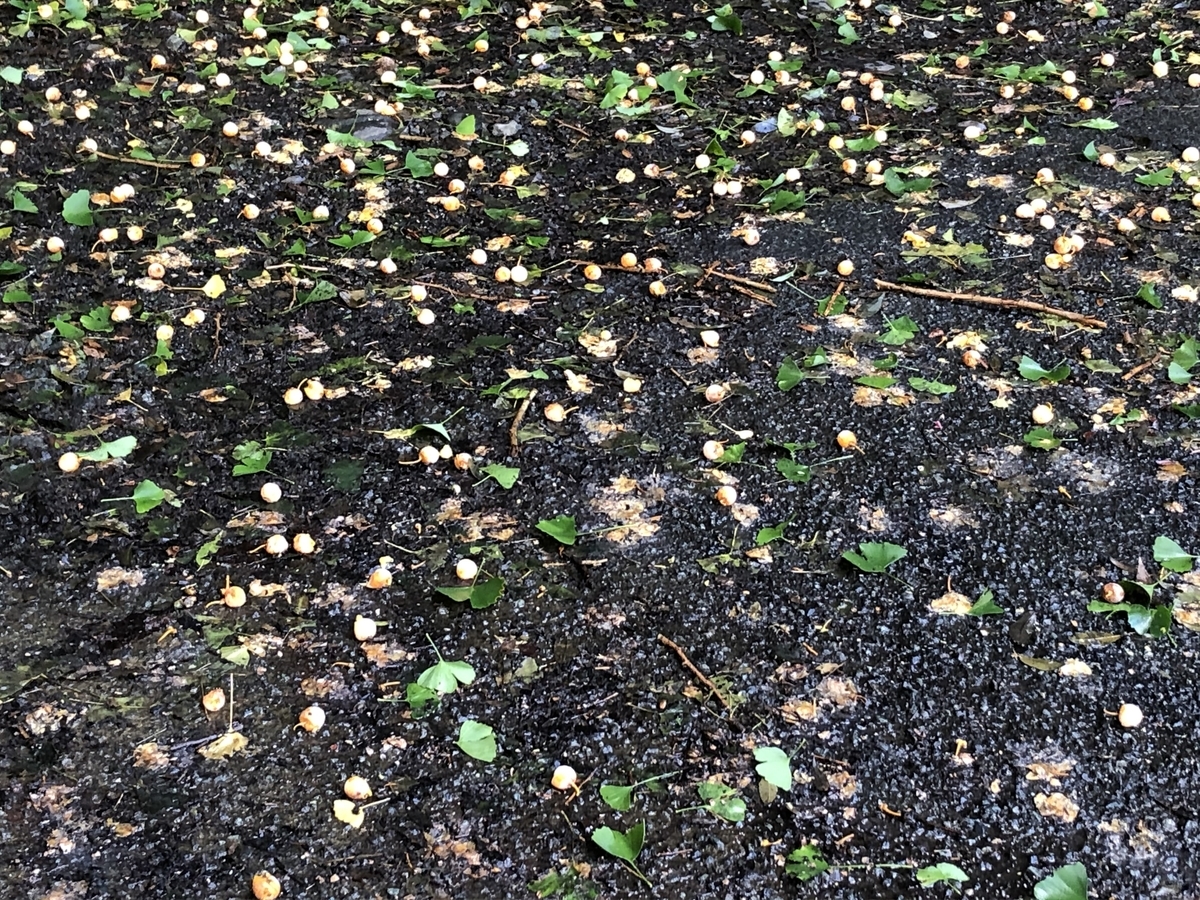 f:id:oscarfreire5414:20201018160931j:plain f:id:oscarfreire5414:20201018160931j:plain