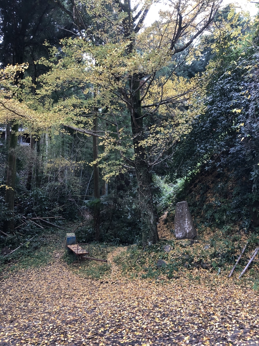 f:id:oscarfreire5414:20201122131758j:plain