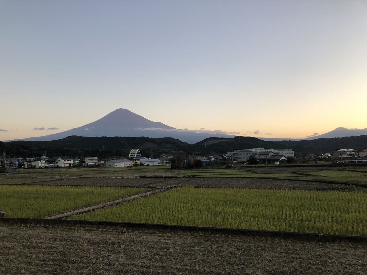 f:id:oscarfreire5414:20201122131820j:plain