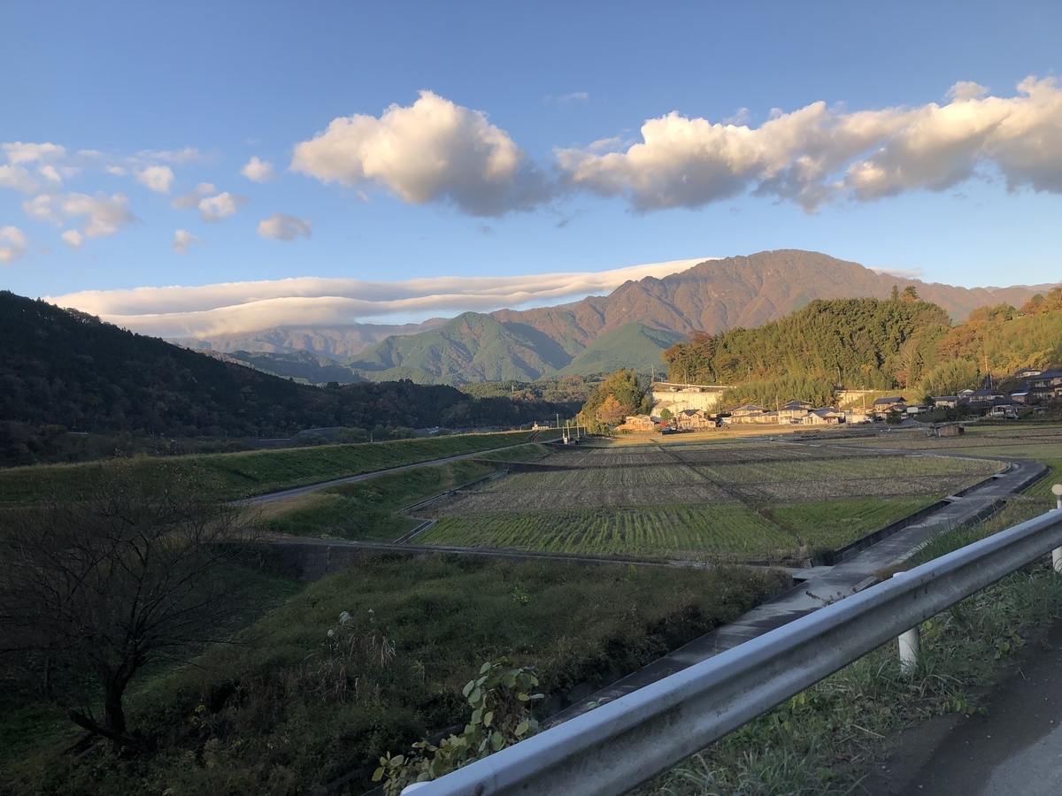 f:id:oscarfreire5414:20201122131853j:plain