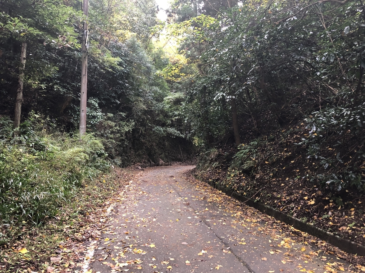 f:id:oscarfreire5414:20201122131947j:plain