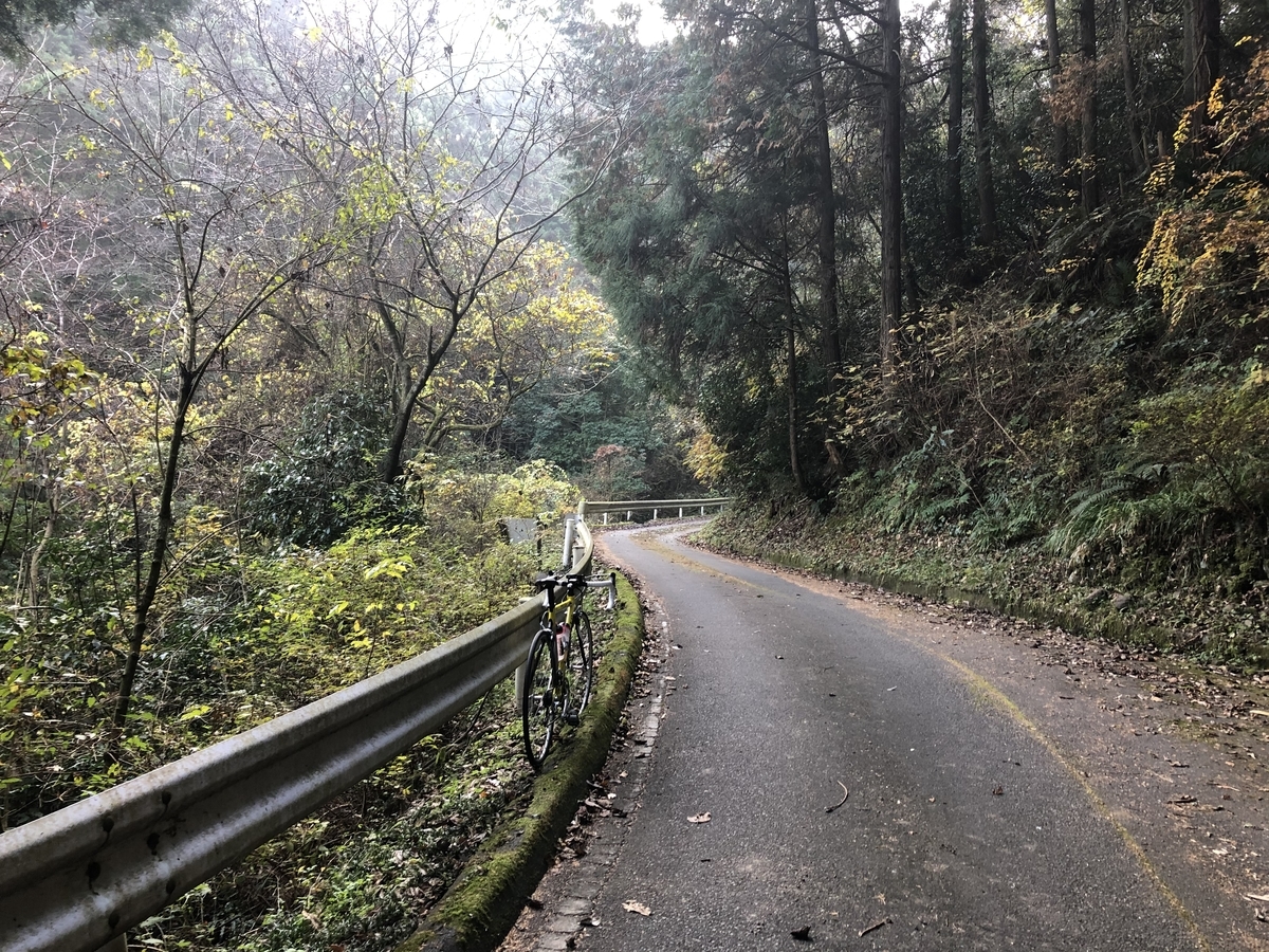 f:id:oscarfreire5414:20201213172712j:plain