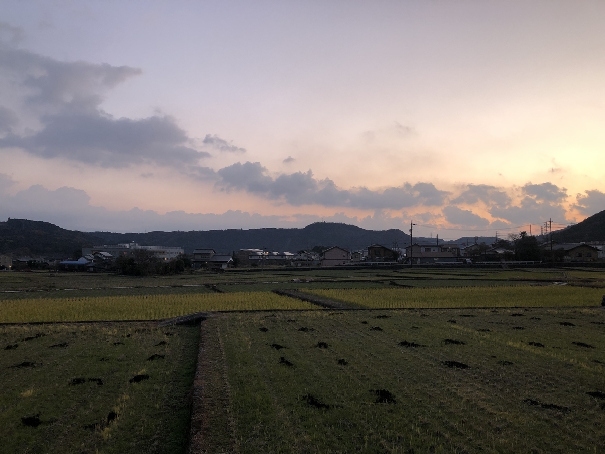 f:id:oscarfreire5414:20201213172735j:plain