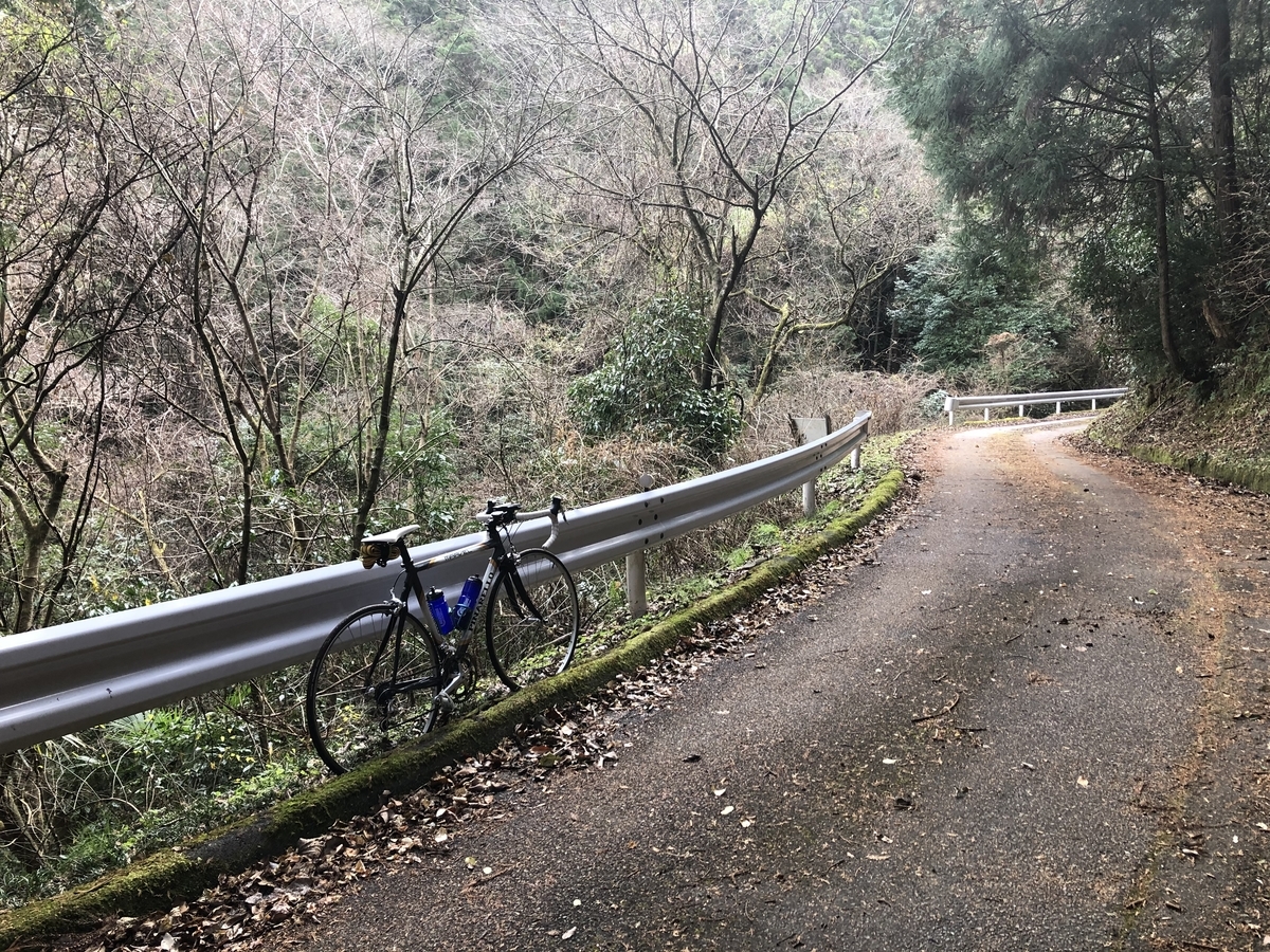 f:id:oscarfreire5414:20210117170859j:plain