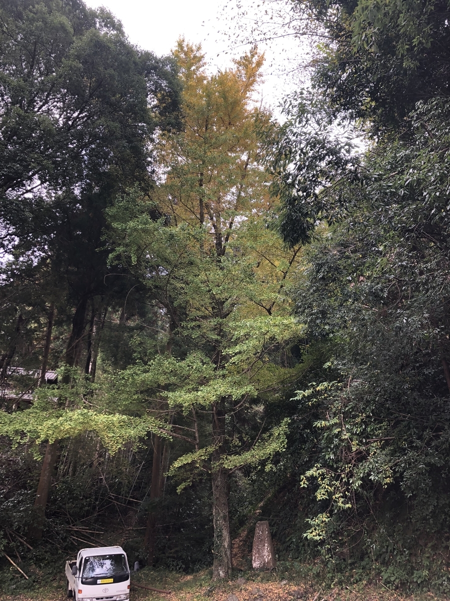 f:id:oscarfreire5414:20211114180212j:plain