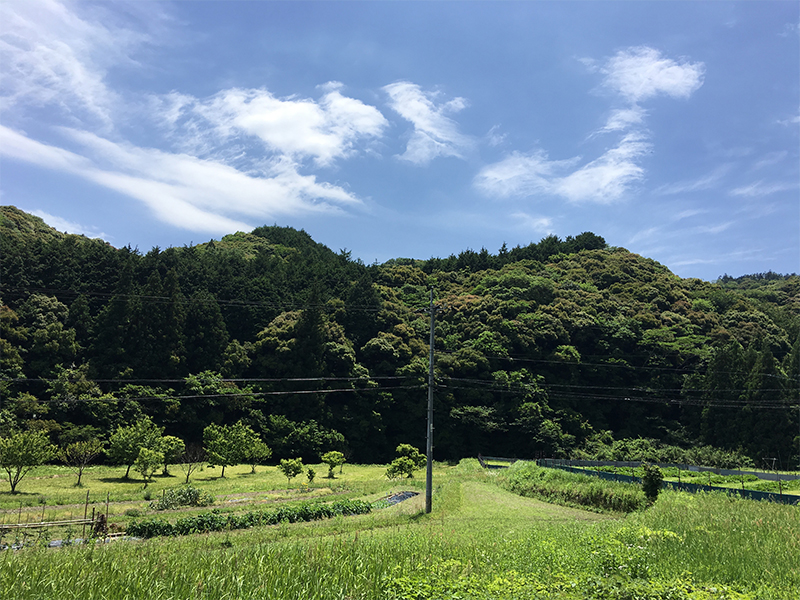 f:id:oseaco8:20180531155605j:plain