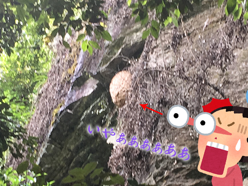 f:id:oseaco8:20180531161754j:plain