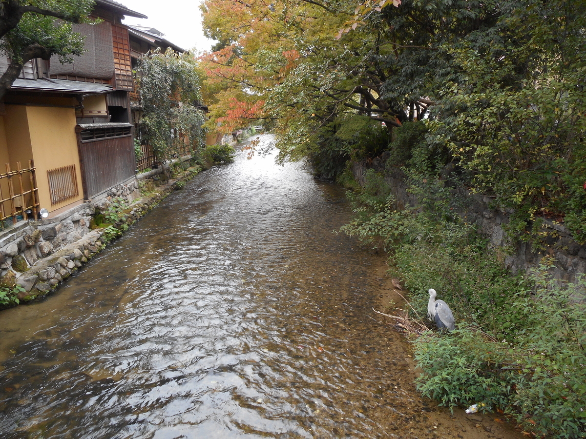 f:id:oshaberisai:20190920150447j:plain