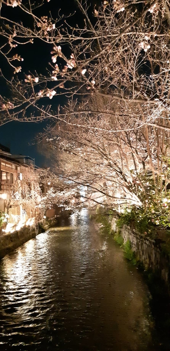 f:id:oshaberisai:20200406125131j:plain f:id:oshaberisai:20200406125131j:plain