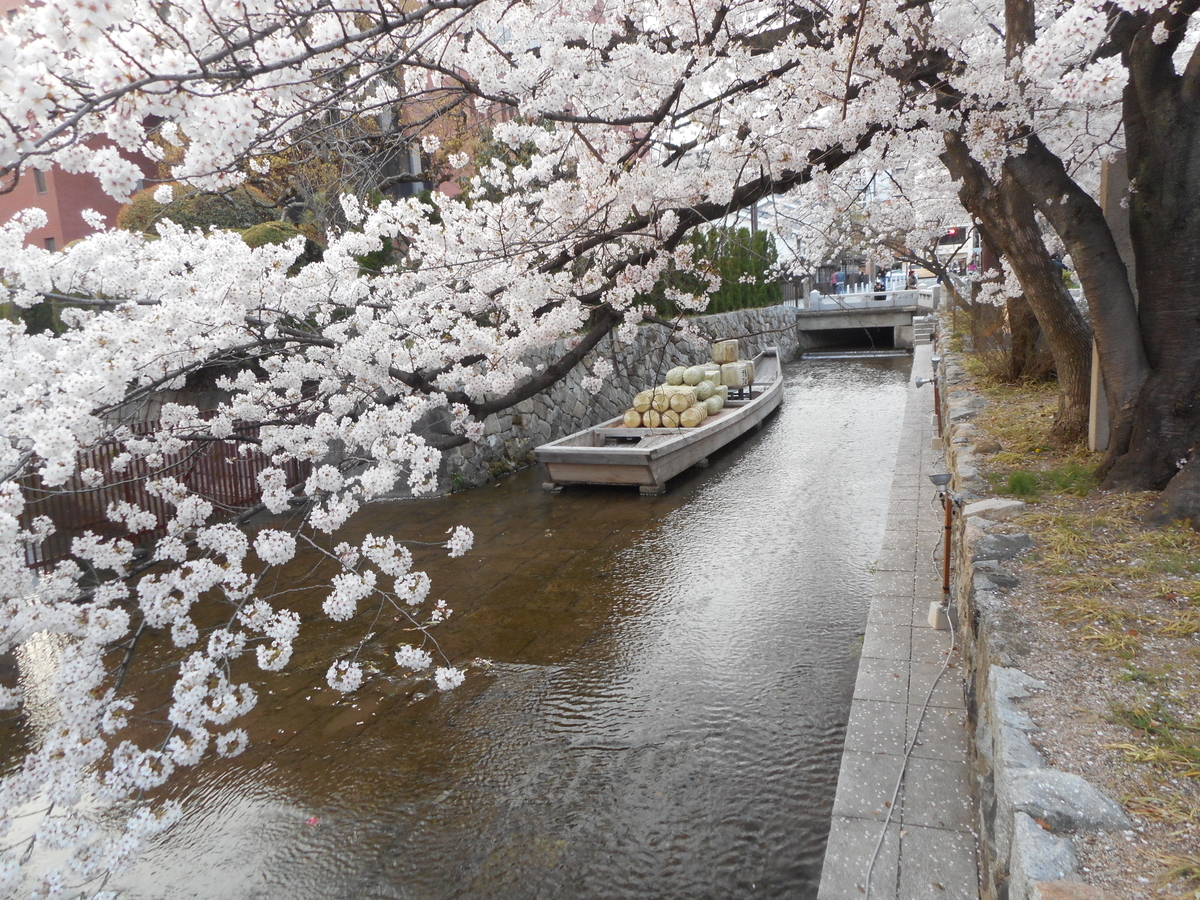 f:id:oshaberisai:20200419230724j:plain