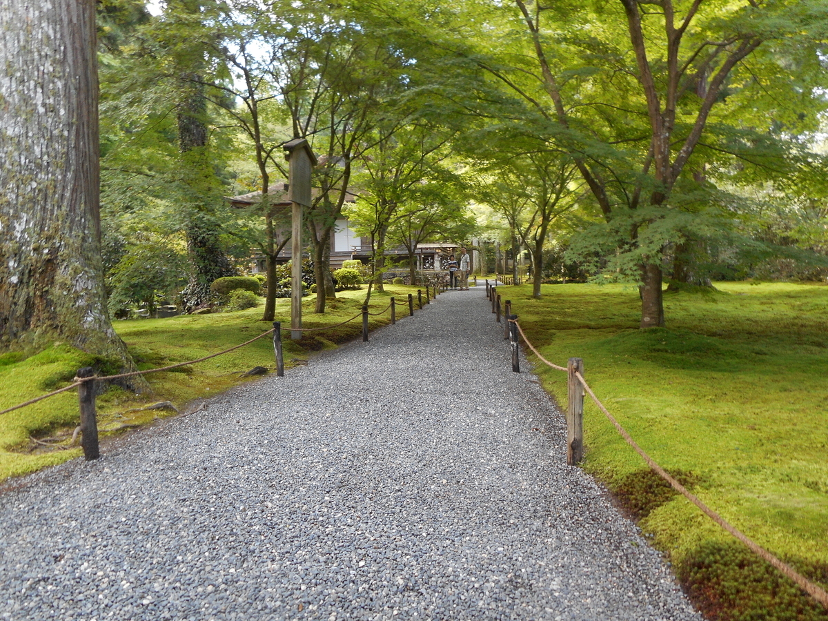 f:id:oshaberisai:20200422132613j:plain