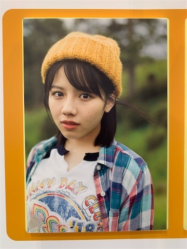 f:id:osham:20191117161602j:plain f:id:osham:20191117161602j:plain