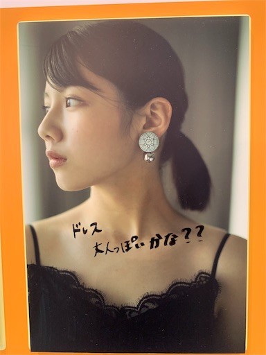 f:id:osham:20191117161607j:plain f:id:osham:20191117161607j:plain