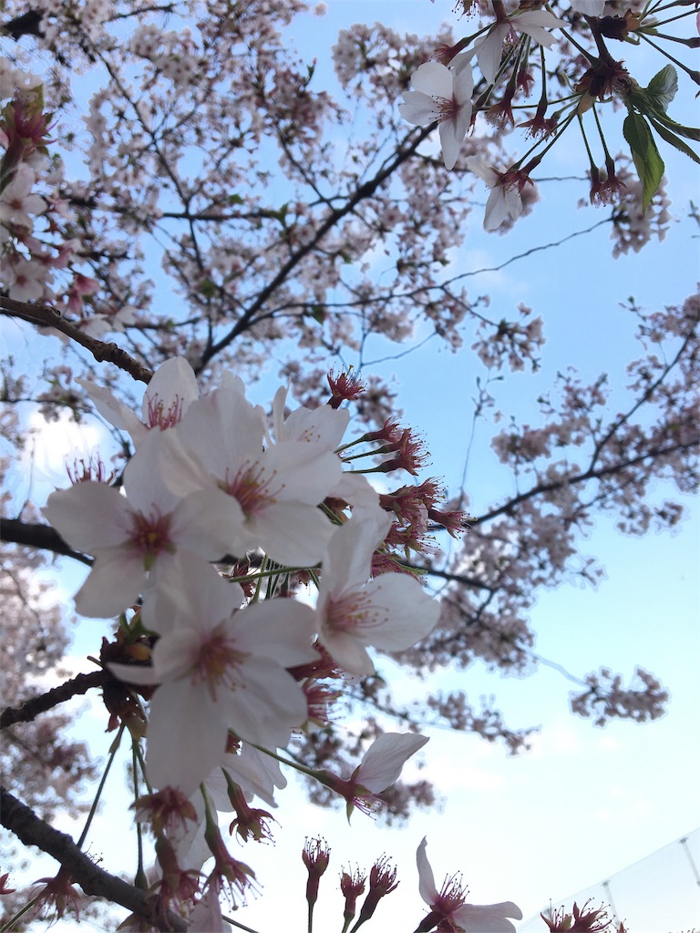 f:id:oshiri_jidenki:20180414174017j:image f:id:oshiri_jidenki:20180414174017j:image