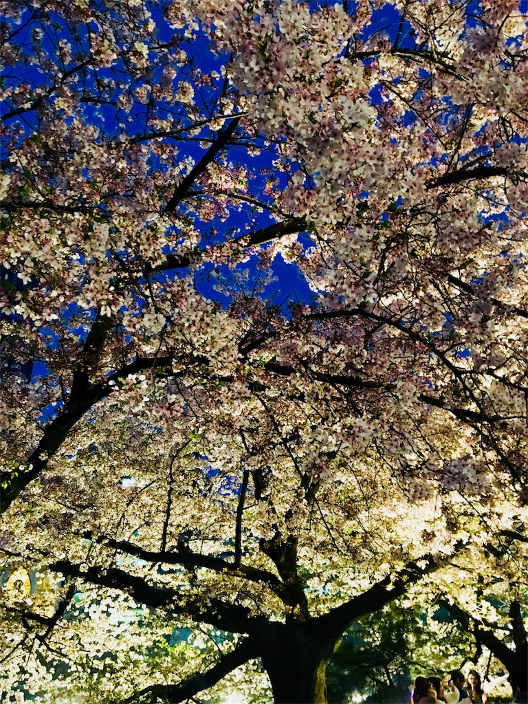 f:id:oshiri_jidenki:20180414174037j:image f:id:oshiri_jidenki:20180414174037j:image