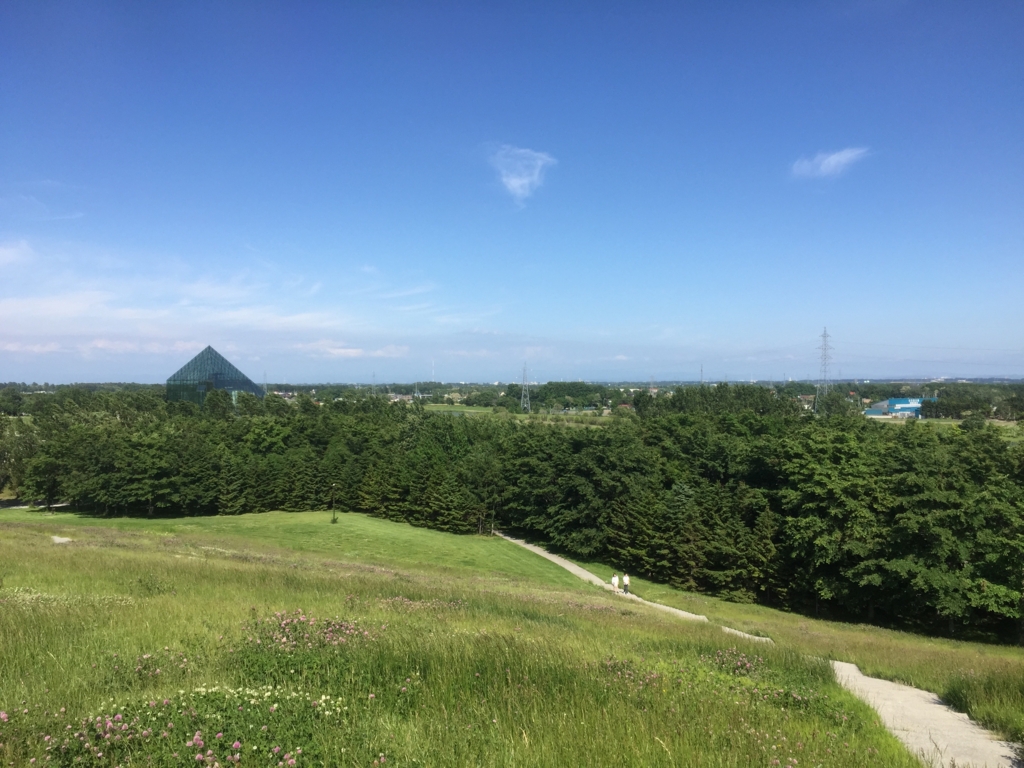f:id:oshokuji_152:20160904225858j:plain