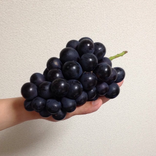 f:id:oshokuji_152:20160917103226j:plain f:id:oshokuji_152:20160917103226j:plain