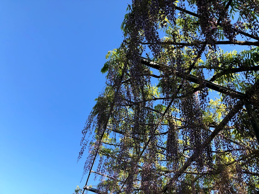 f:id:oshokuji_152:20190908225342j:plain