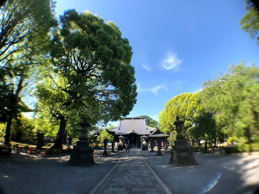 f:id:oshokuji_152:20190908225405j:plain