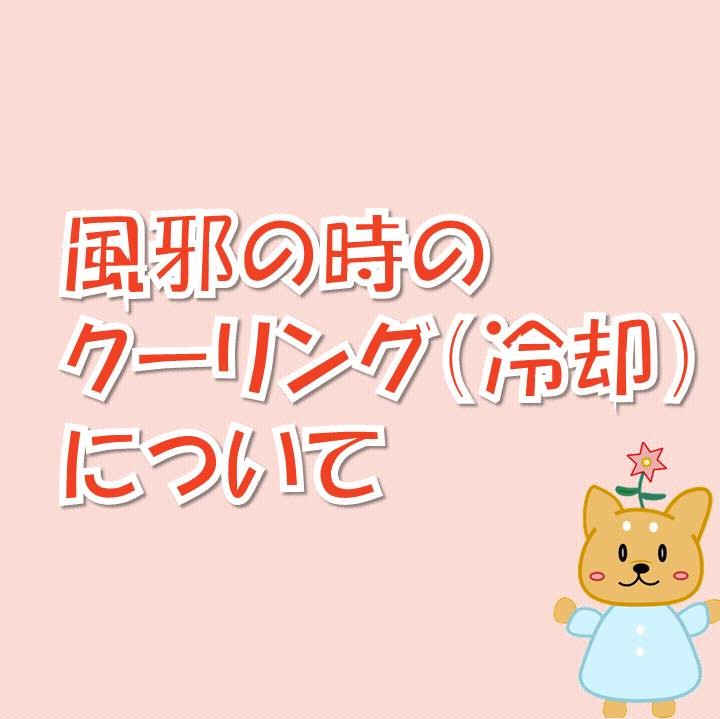 f:id:osibainu:20200309230752j:plain f:id:osibainu:20200309230752j:plain