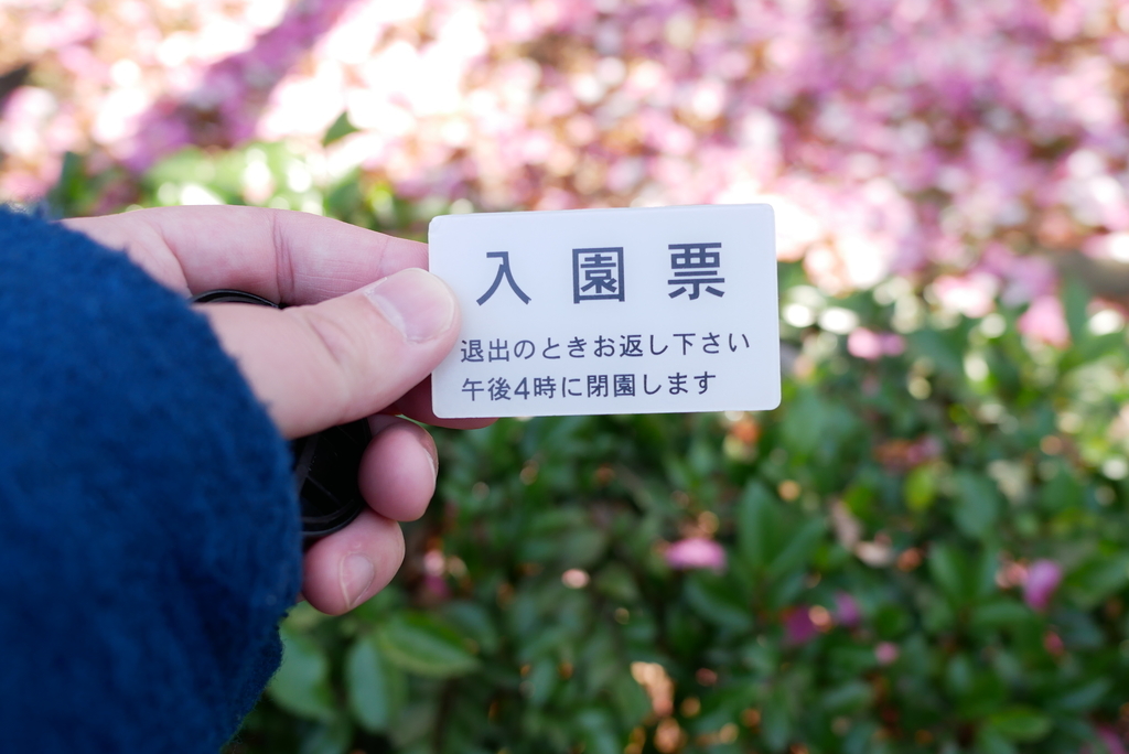 f:id:osicoman:20190224110317j:plain