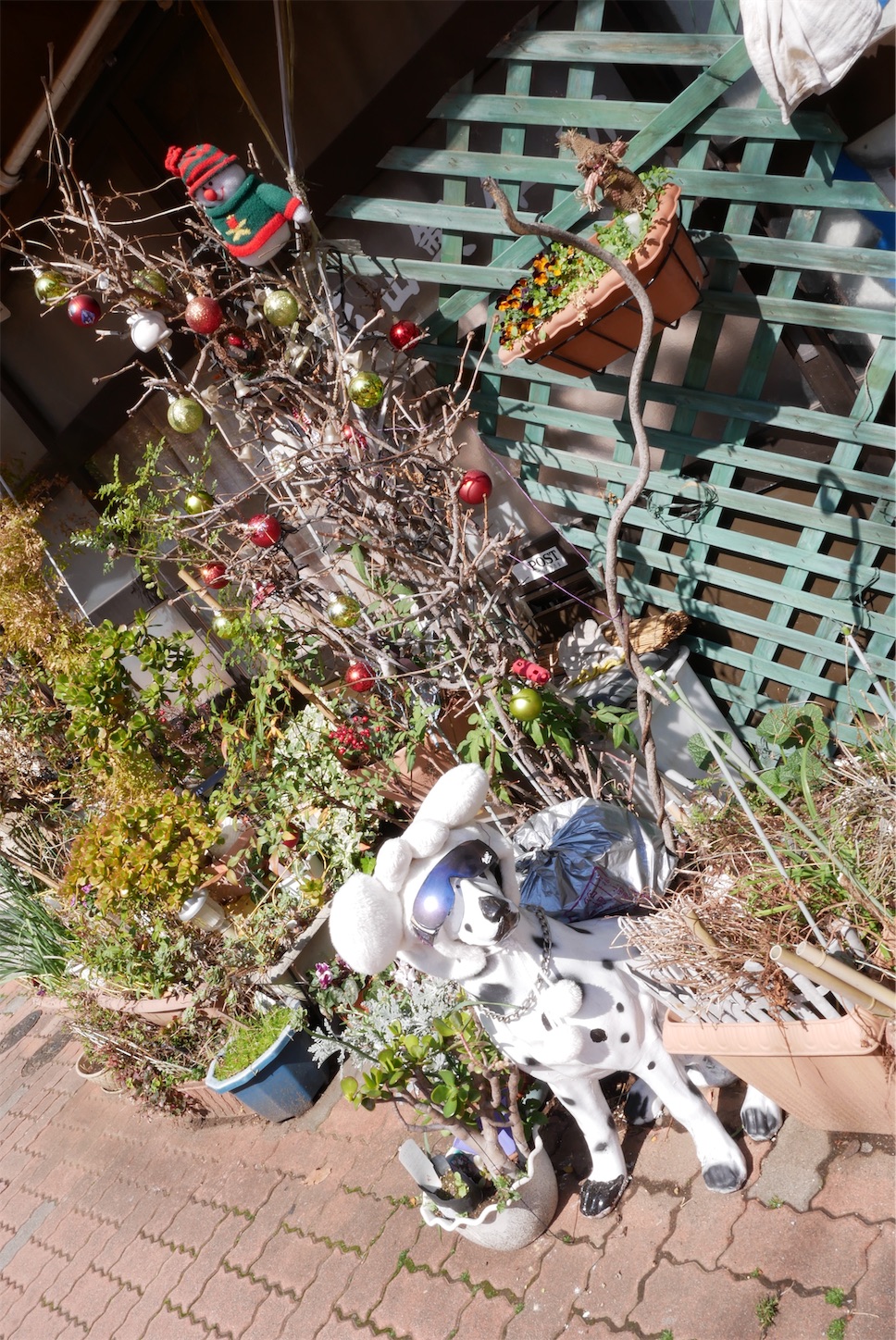 f:id:osicoman:20190315102401j:image