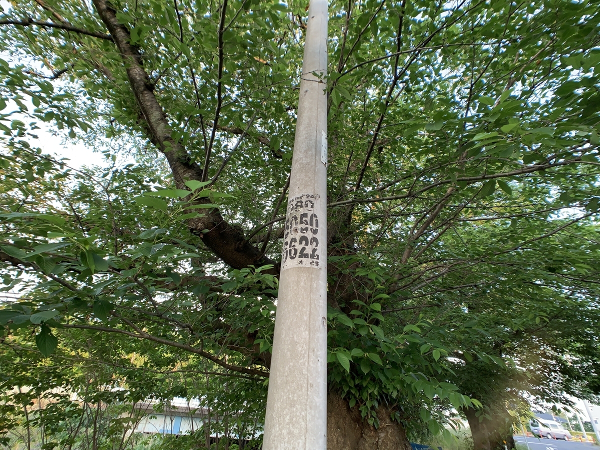 f:id:osicoman:20190526181512j:plain