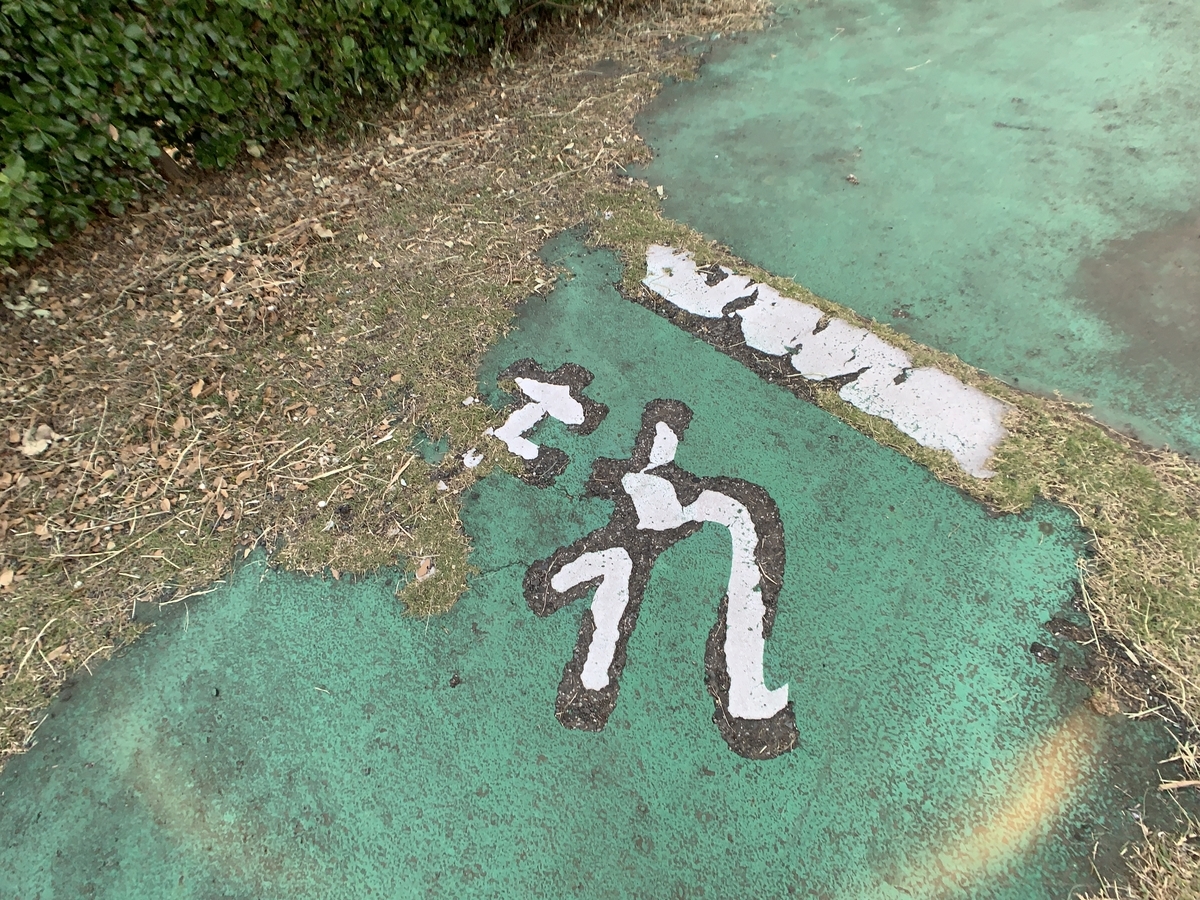 f:id:osicoman:20190526182631j:plain