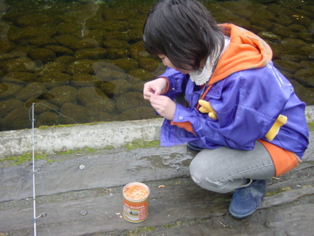f:id:osino-suizokukan:20090224101751j:image f:id:osino-suizokukan:20090224101751j:image
