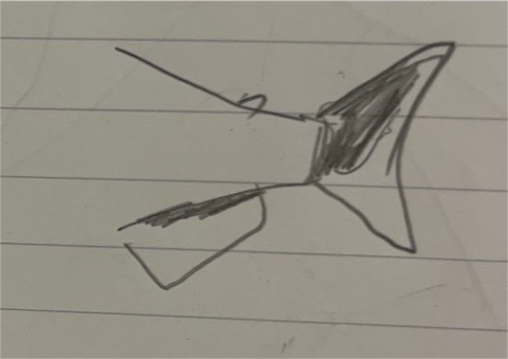 f:id:osio-gomizo:20241106100718j:image