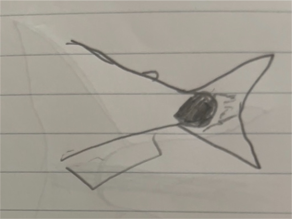 f:id:osio-gomizo:20241106100721j:image