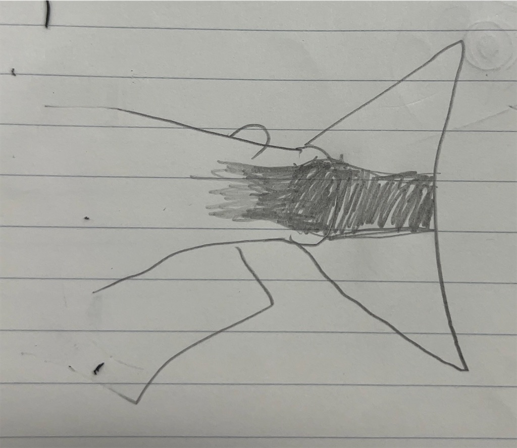 f:id:osio-gomizo:20241106100800j:image